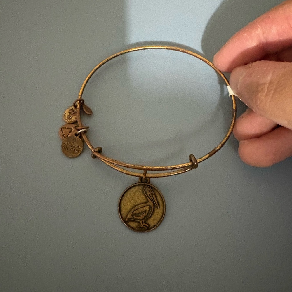 Alex and Ani Gold Bangle Bracelet with Charms